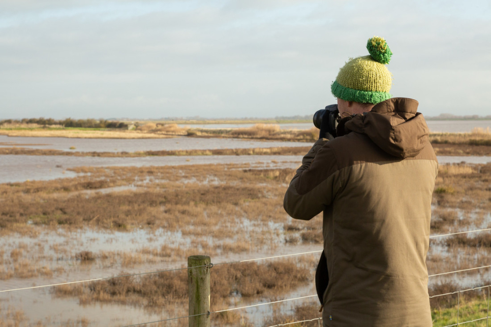Ten Things to Do at Steart Marshes in Spring